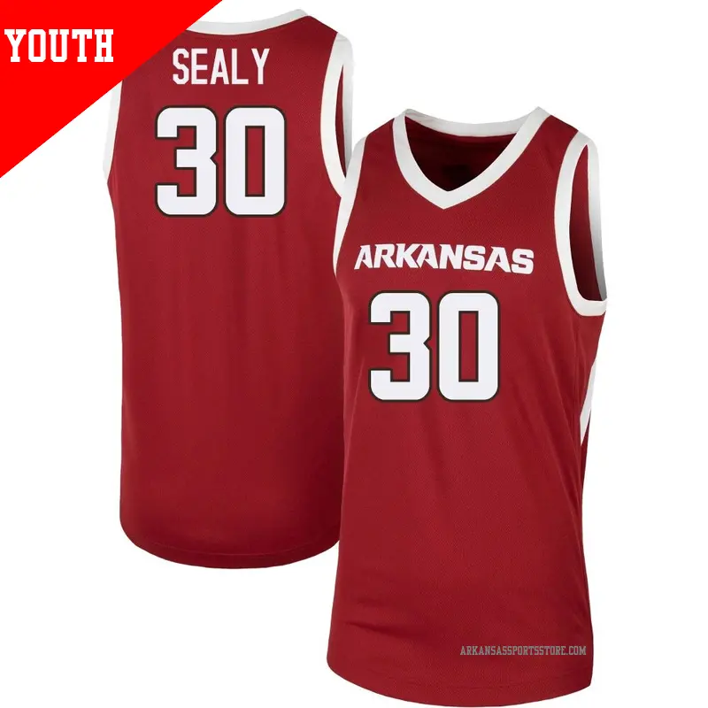 Youth ＃30 Isaiah Sealy Arkansas Razorbacks Replica Cardinal Basketball Jersey